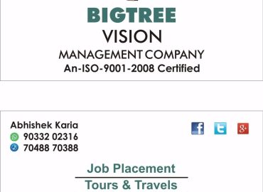 BIGTREE VISION MANAGEMENT COMPANY