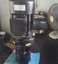 Deepsun Industries
