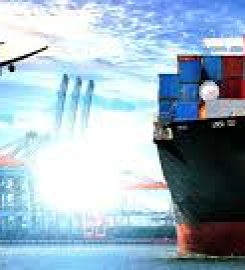 Silver Lining exim services (Cashew Nut Importer & Exporter )