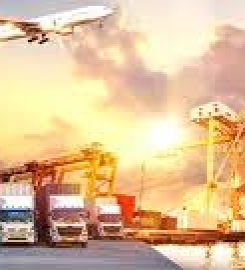 Silver Lining exim services (Cashew Nut Importer & Exporter )