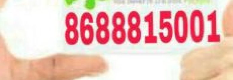 Household Shiffting Service Gomti Nagar