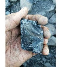 Lionstone Coalhub LLP