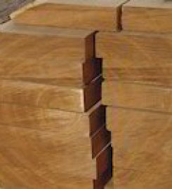 Virendra Haribhai Pansara