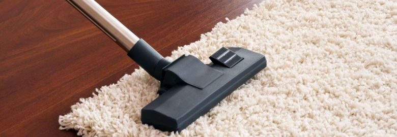 Carpet Cleaning in Briar Hill