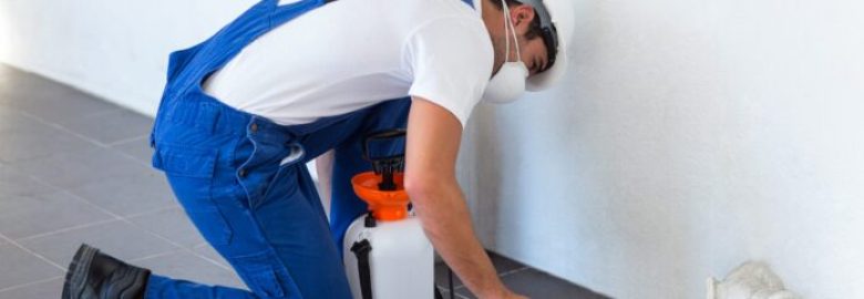Pest Australia – Pest Control North Brisbane