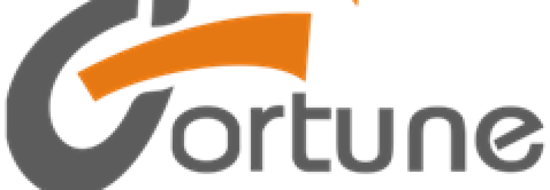 Fortune Sales Corporation Pvt Ltd.