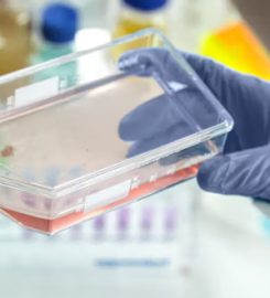 Stem Cell Cure India