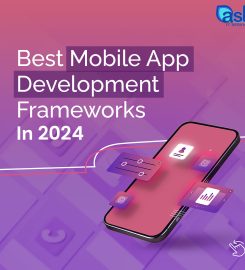 Ash IT Service – Software Development Company