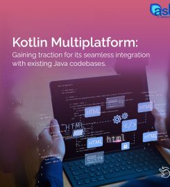 Ash IT Service – Software Development Company