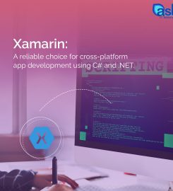 Ash IT Service – Software Development Company