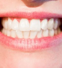 Holistic Dental Donvale