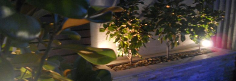 Watersave Landscaping