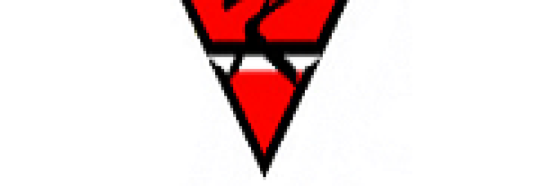 Kico Playground Inspection Services